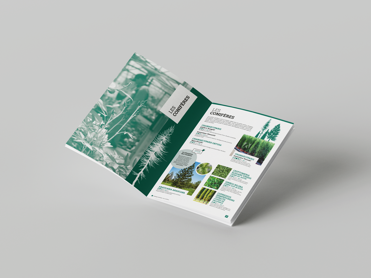 Home Adapei - Catalogue